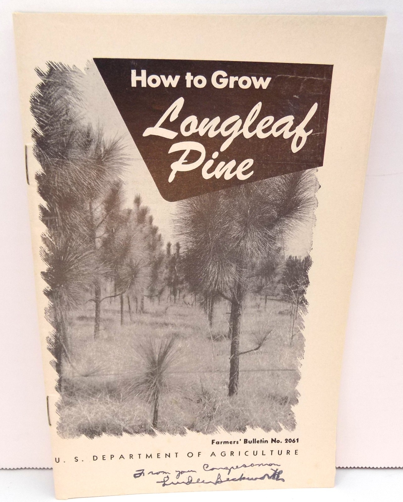 Vntg How To Grow Long Leaf Pine Farmers Bulletin No 2061 US Dept Ag Buckworth
