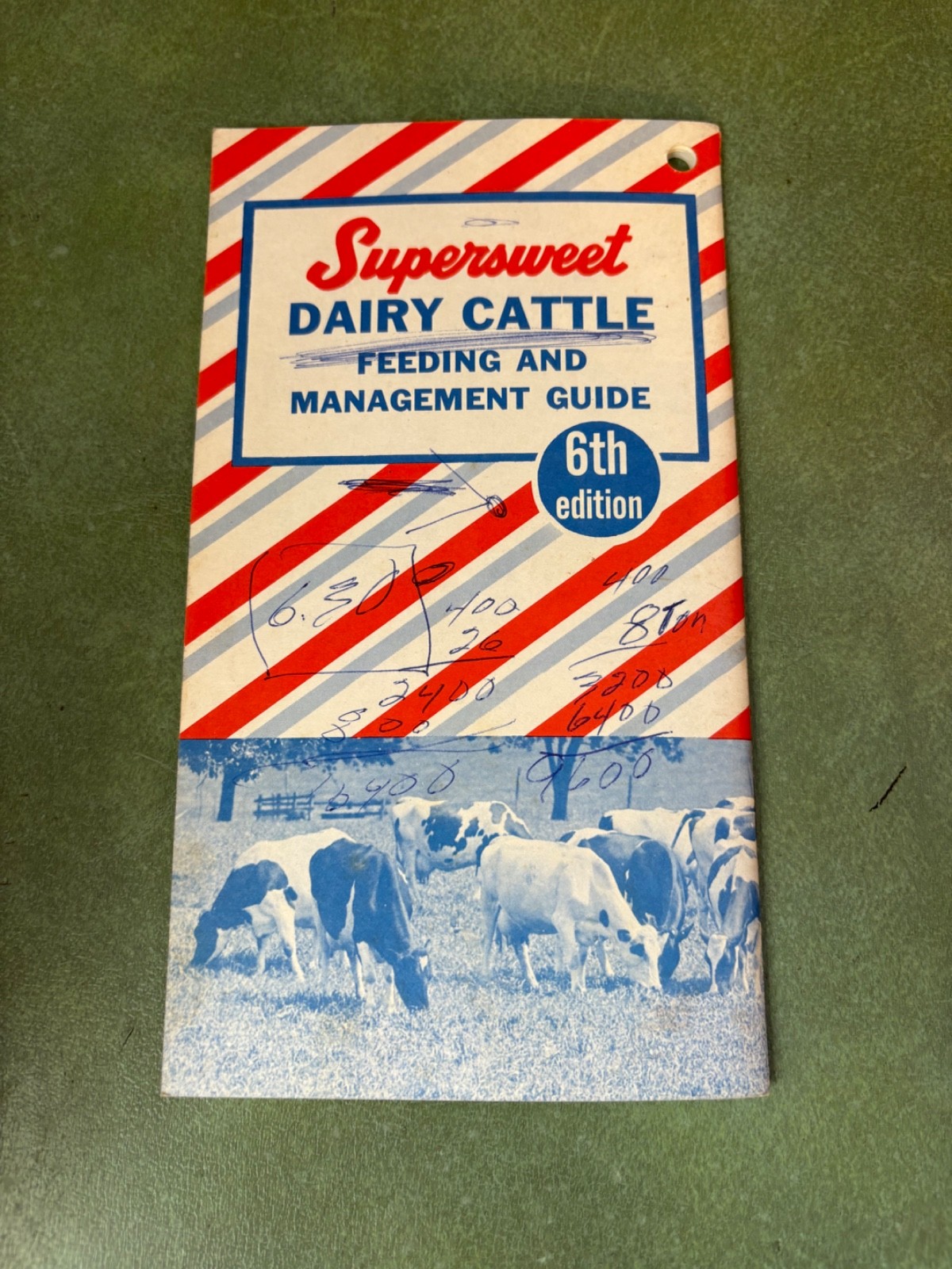 Vintage SuperSweet Dairy Cattle Feeding & Management Guide 6th Edition