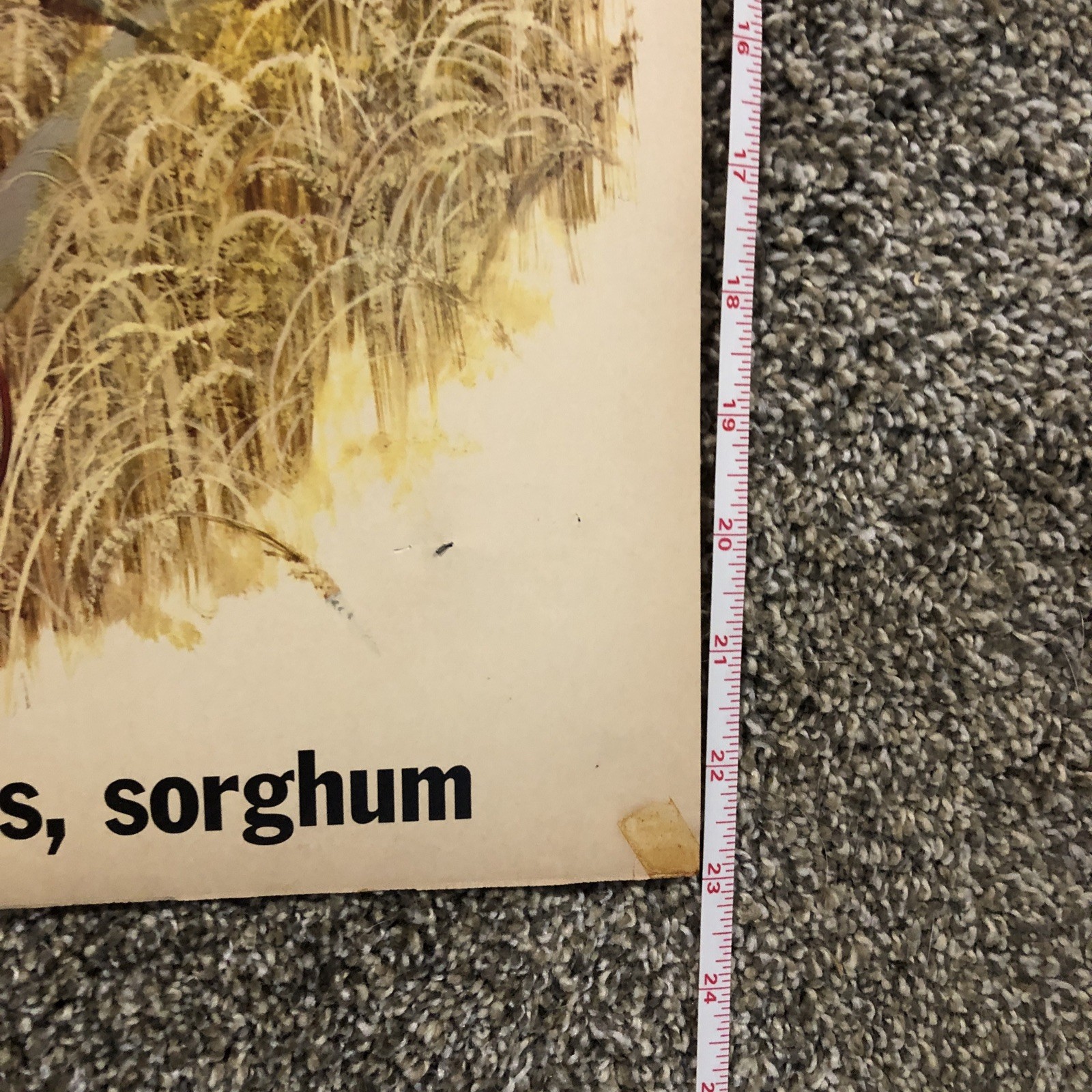 Rare Ford Tractors Implement Mailing POSTER Brochure 31×23” Combine