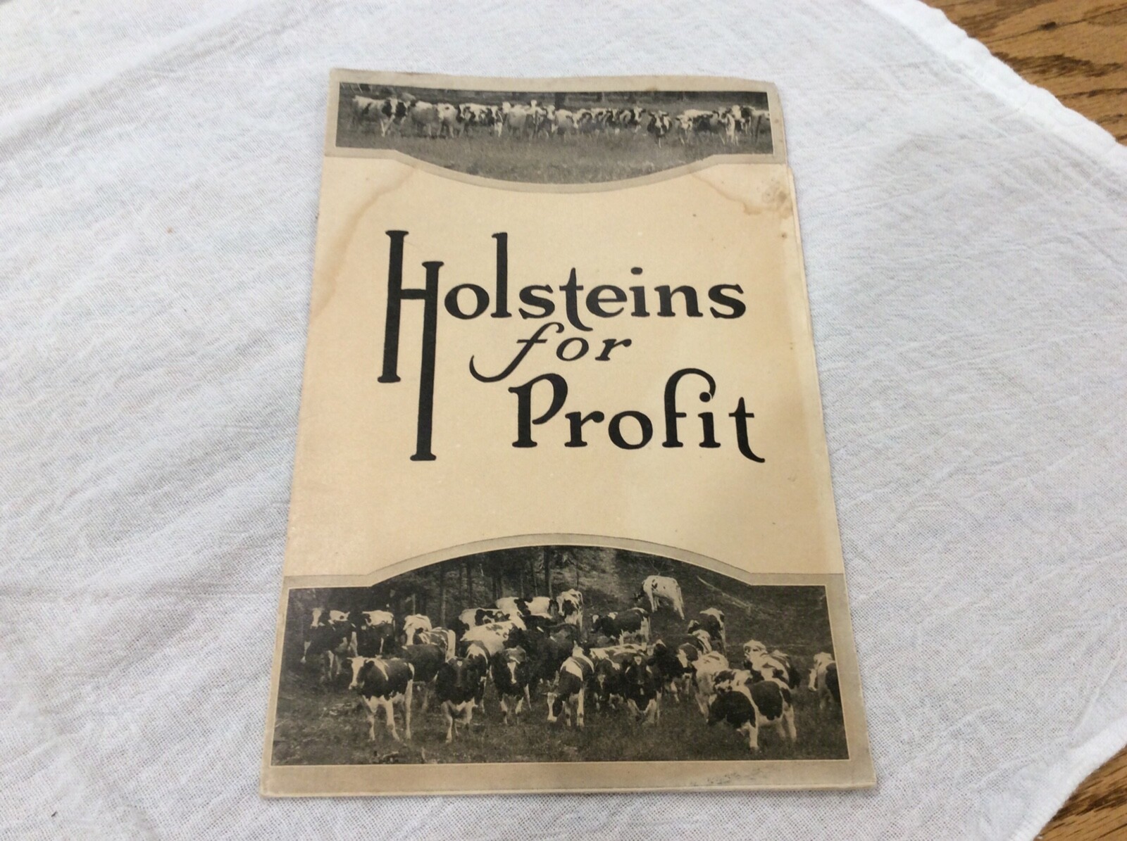 1926 Holsteins For Profit Cows Poster Holstein-Friesian Association Chicago