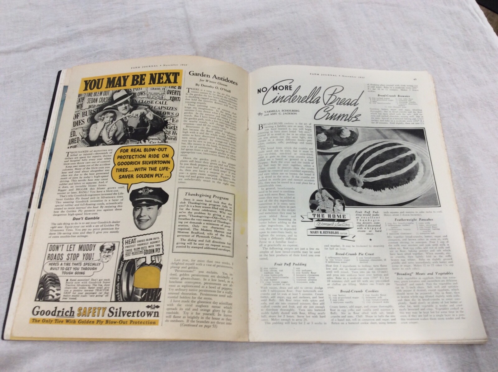 1937 Farm Journal Magazine Iowa State College Experiment Station W/Pigs Ames
