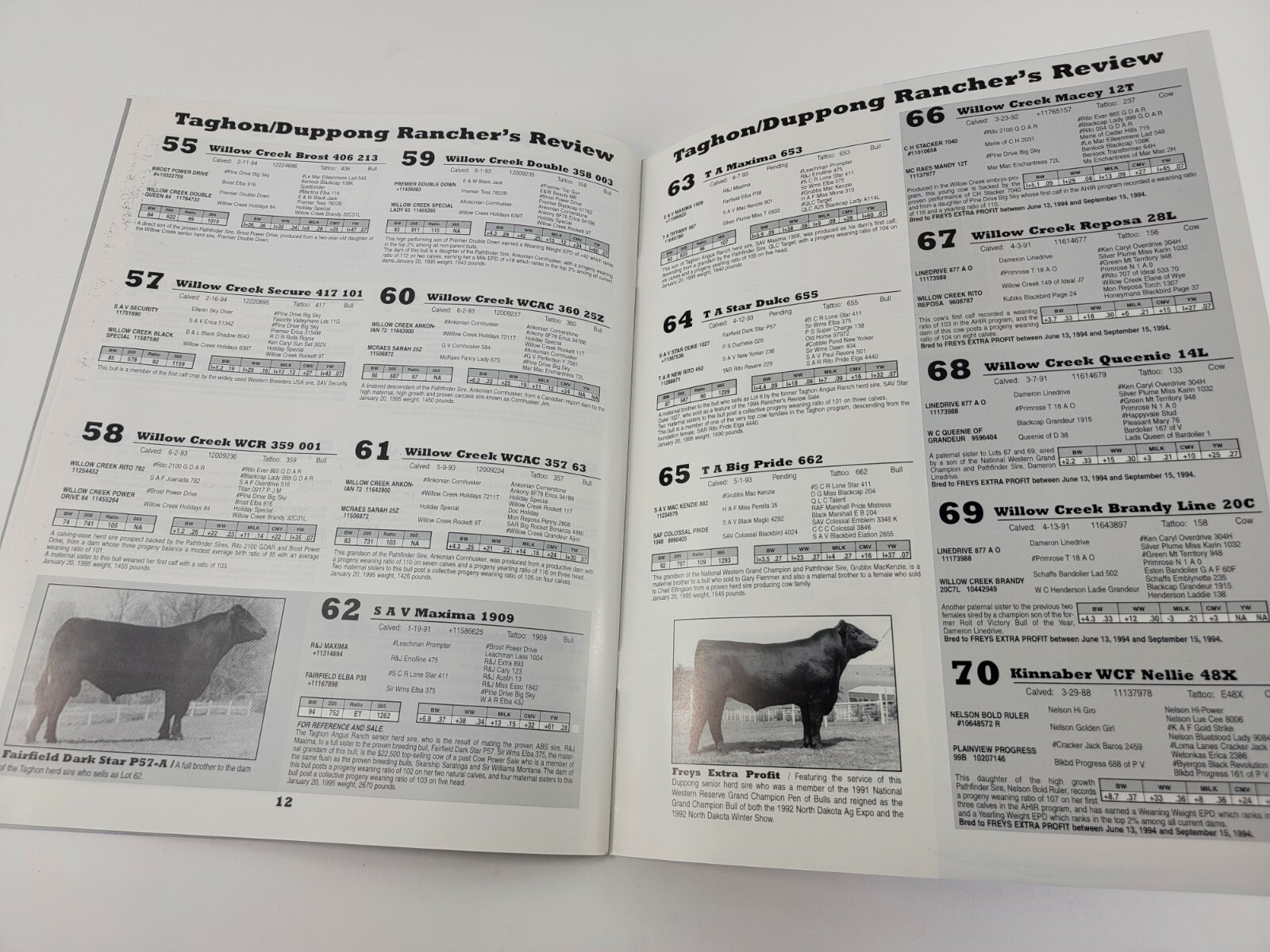 Taghon Angus / Duppong Bull Sale Ranchers Review Livestock Auction – Mandan 1995