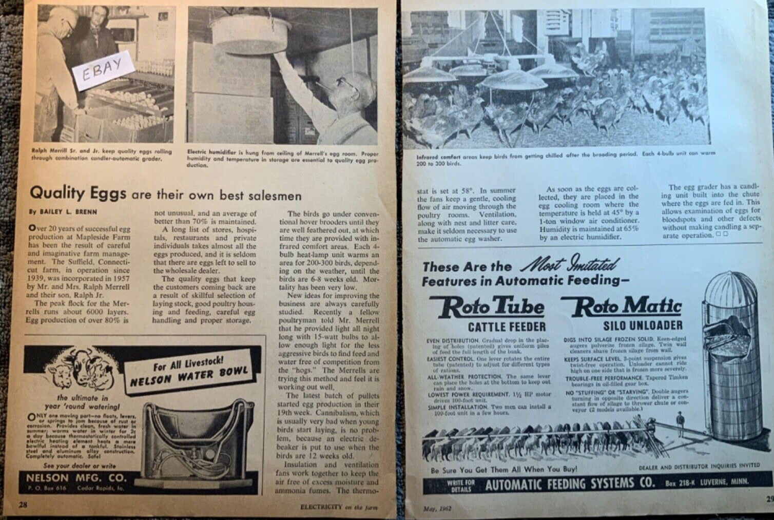 1962 Magaxine Article. Ralph Merrill. Suffield Connecticut Farm. Egg Production