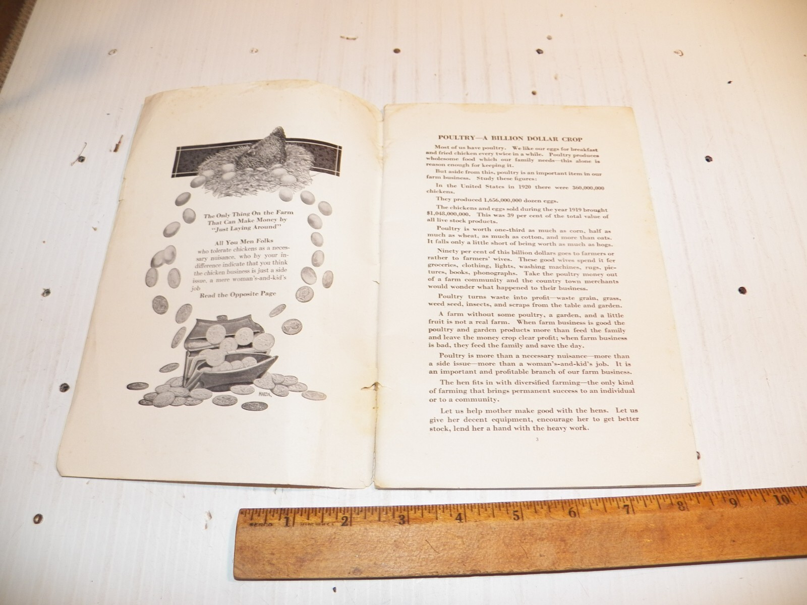 1921 POULTRY FOR THE FARM AND HOME From INTERNATIONAL HARVESTER COMPANY