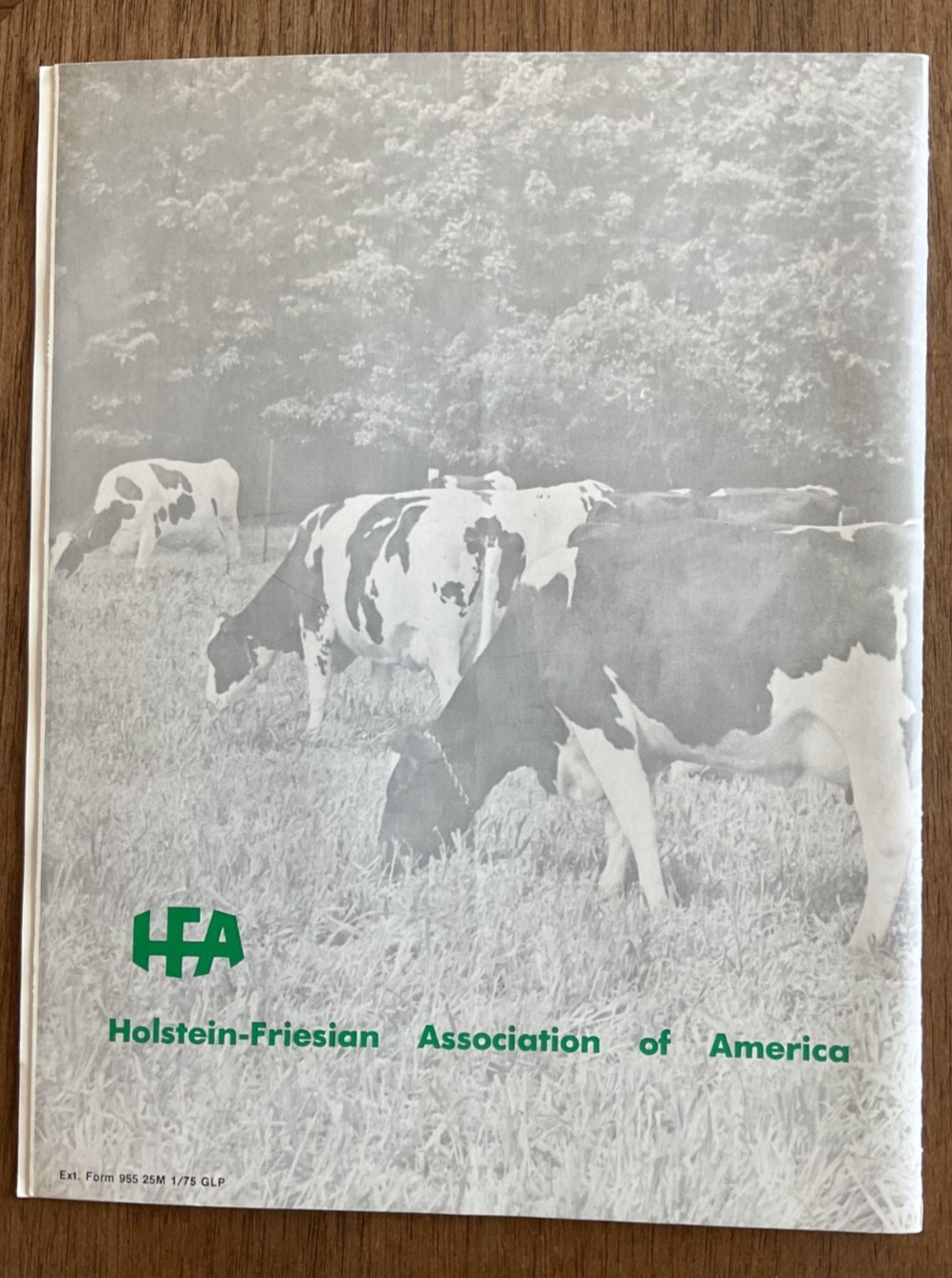 Magazine for Holstein Friesian Association of America – Breed For The New Breed