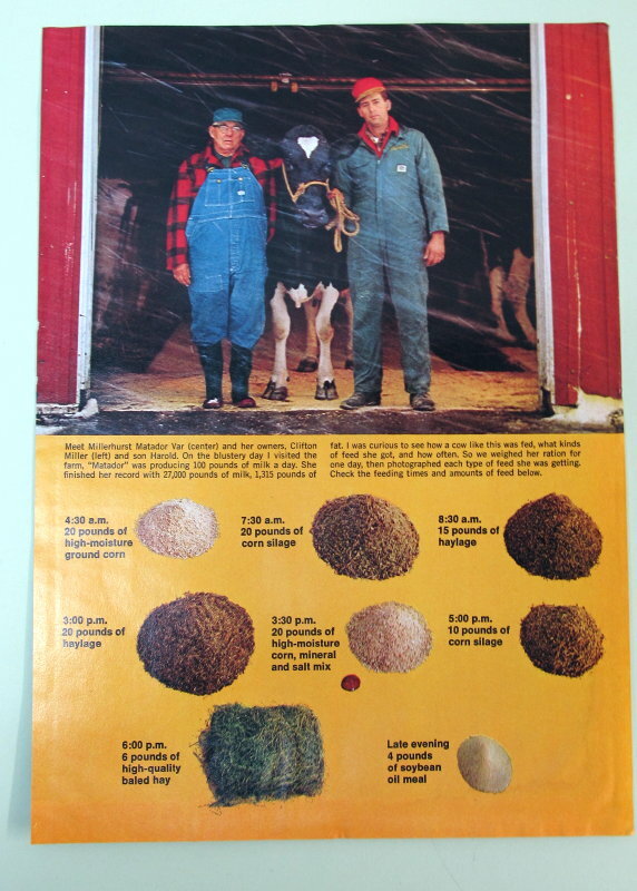 Original 1970 Dairy Article Features Clifton & Harold Miller, Poughkeepsie, NY