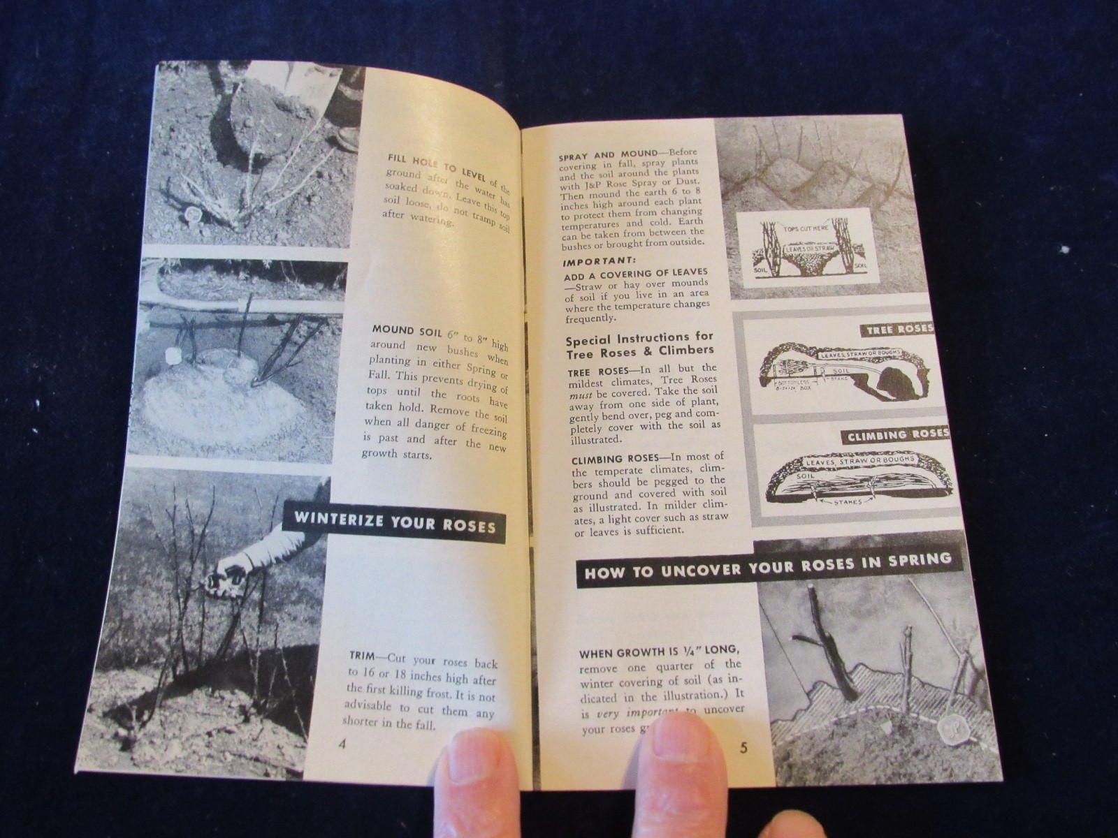 Vintage 1940-1950&rsquo;s Jackson & Perkins Rose Gardening Brochure B439
