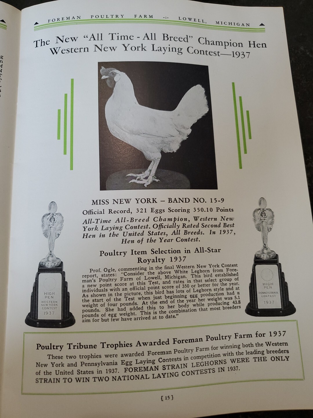 1944 Foreman Poultry Farm Catalog Chickens Beautiful & RARE 🐔