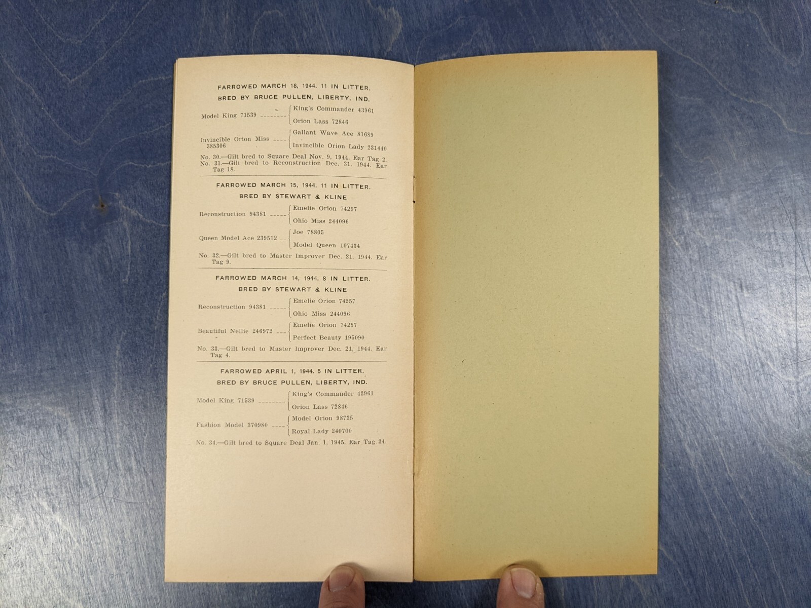 1945 Duroc Bred Gilt Hog Sale Auction Brochure – Brumbaugh Implement Eaton Ohio