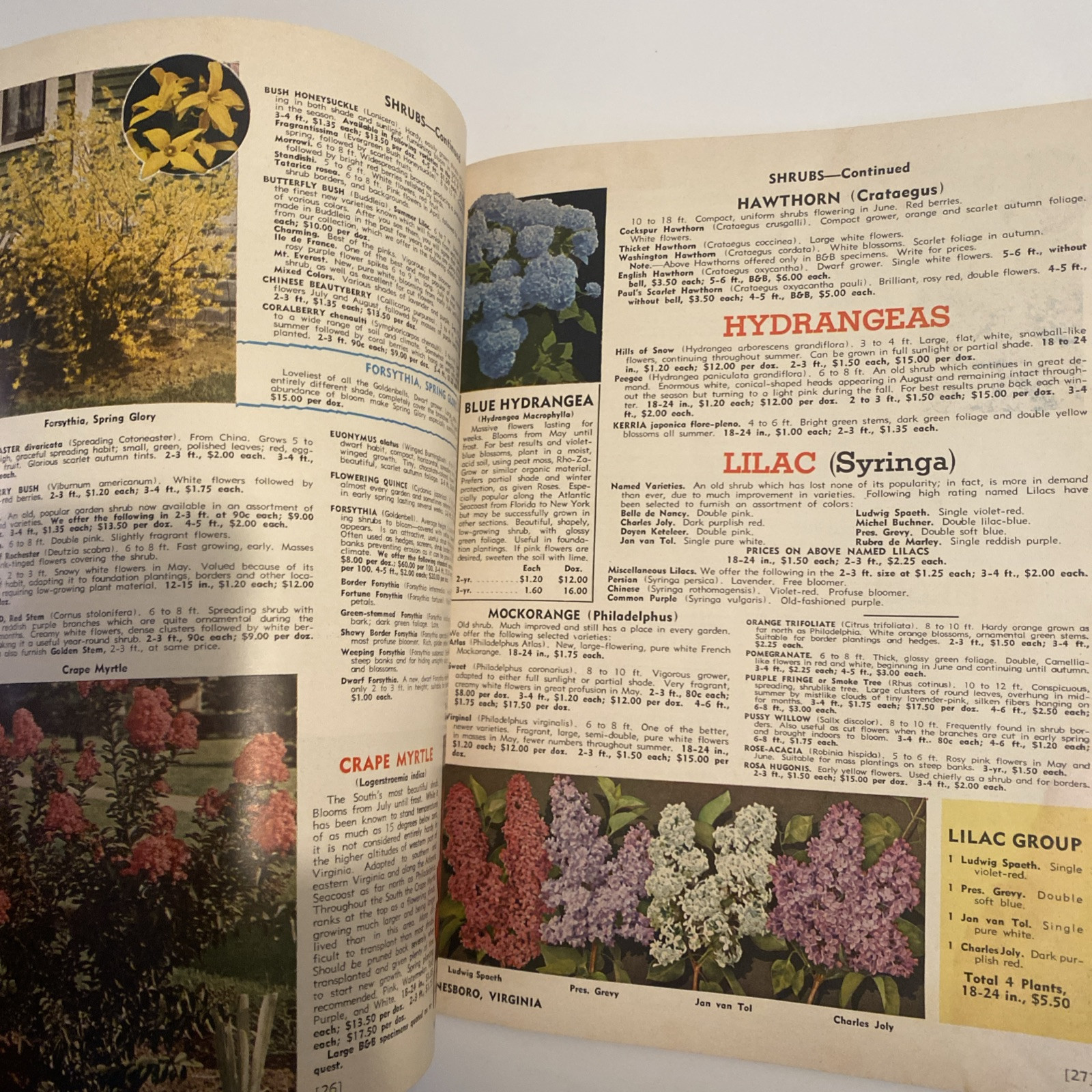 1952 VINTAGE WAYNESBORO NURSERIES FLOWER FRUIT SEED PLANTING CATALOG 48 Pgs