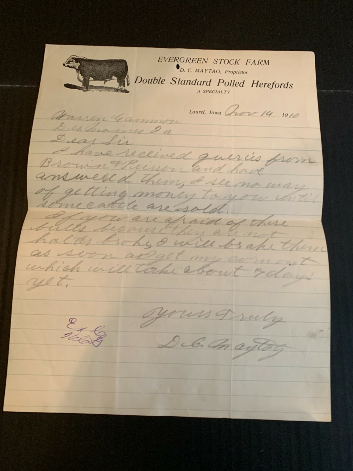 November 14 1910 Evergreen Stock Farms Polled Herefords Letterhead Laurel Iowa