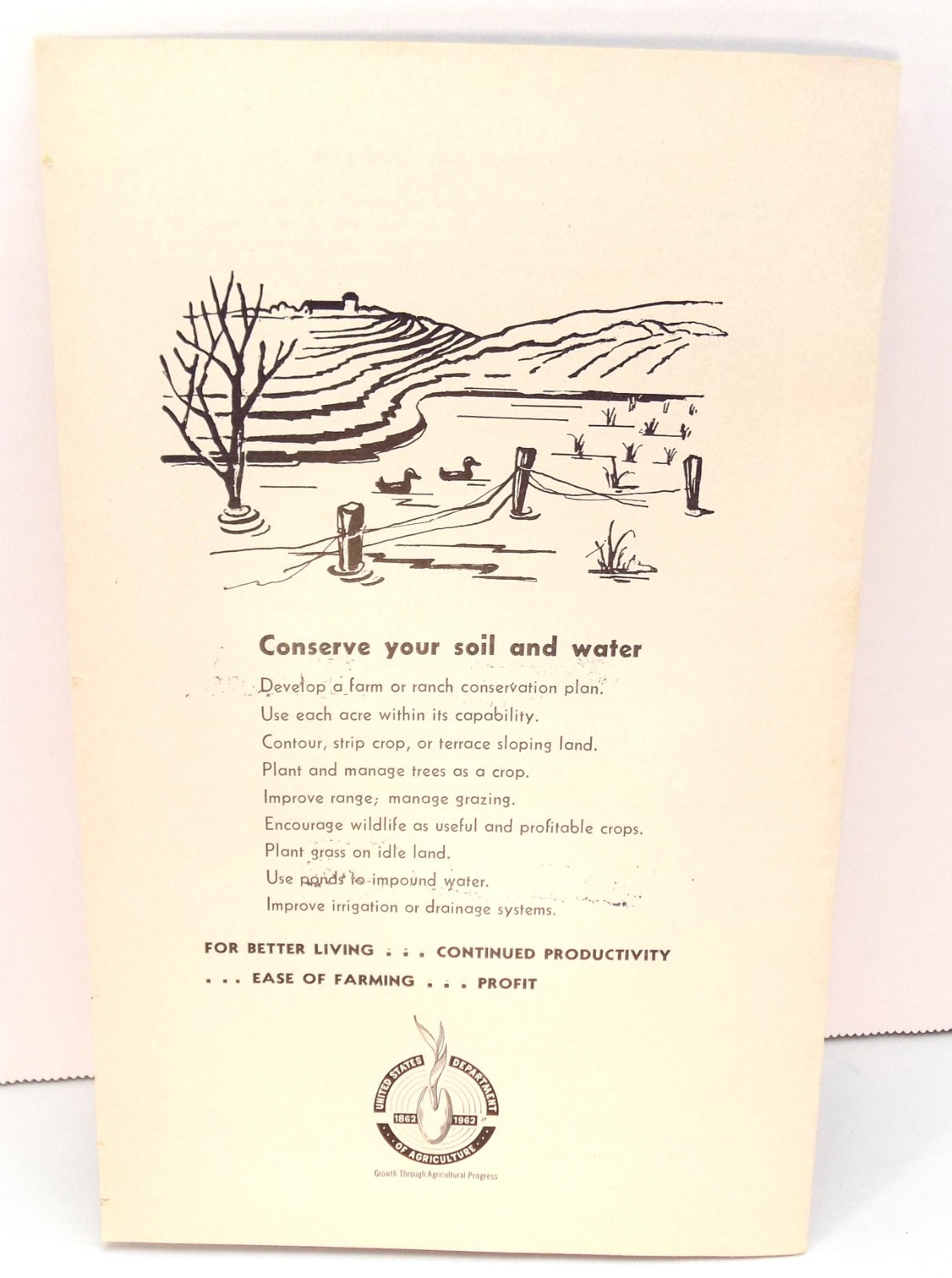 Vntg How To Grow Long Leaf Pine Farmers Bulletin No 2061 US Dept Ag Buckworth