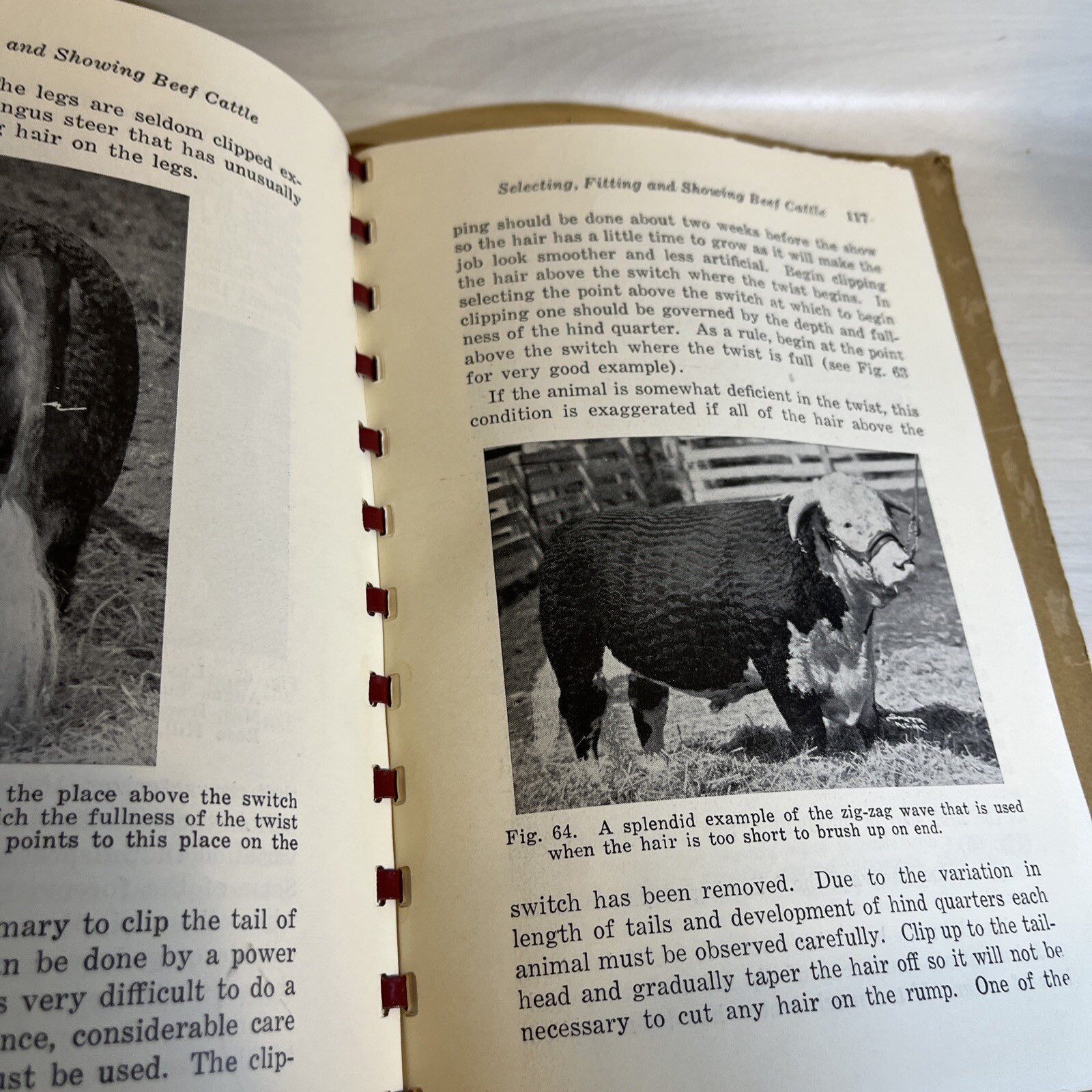 Beef Cattle Selecting Fitting Showing Nord Be Lattig Fourth, Edition, 1948