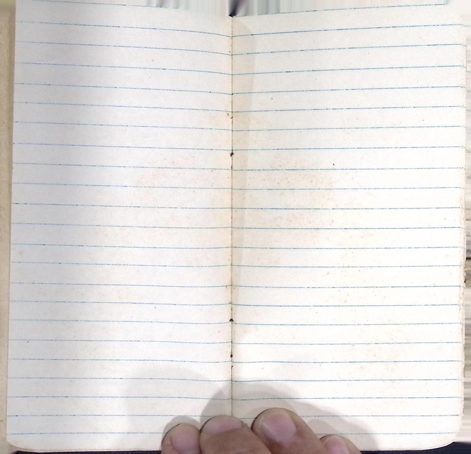 Antique Baugh & Sons Fertilizer Advertising Notebook Baltimore Maryland 1910s