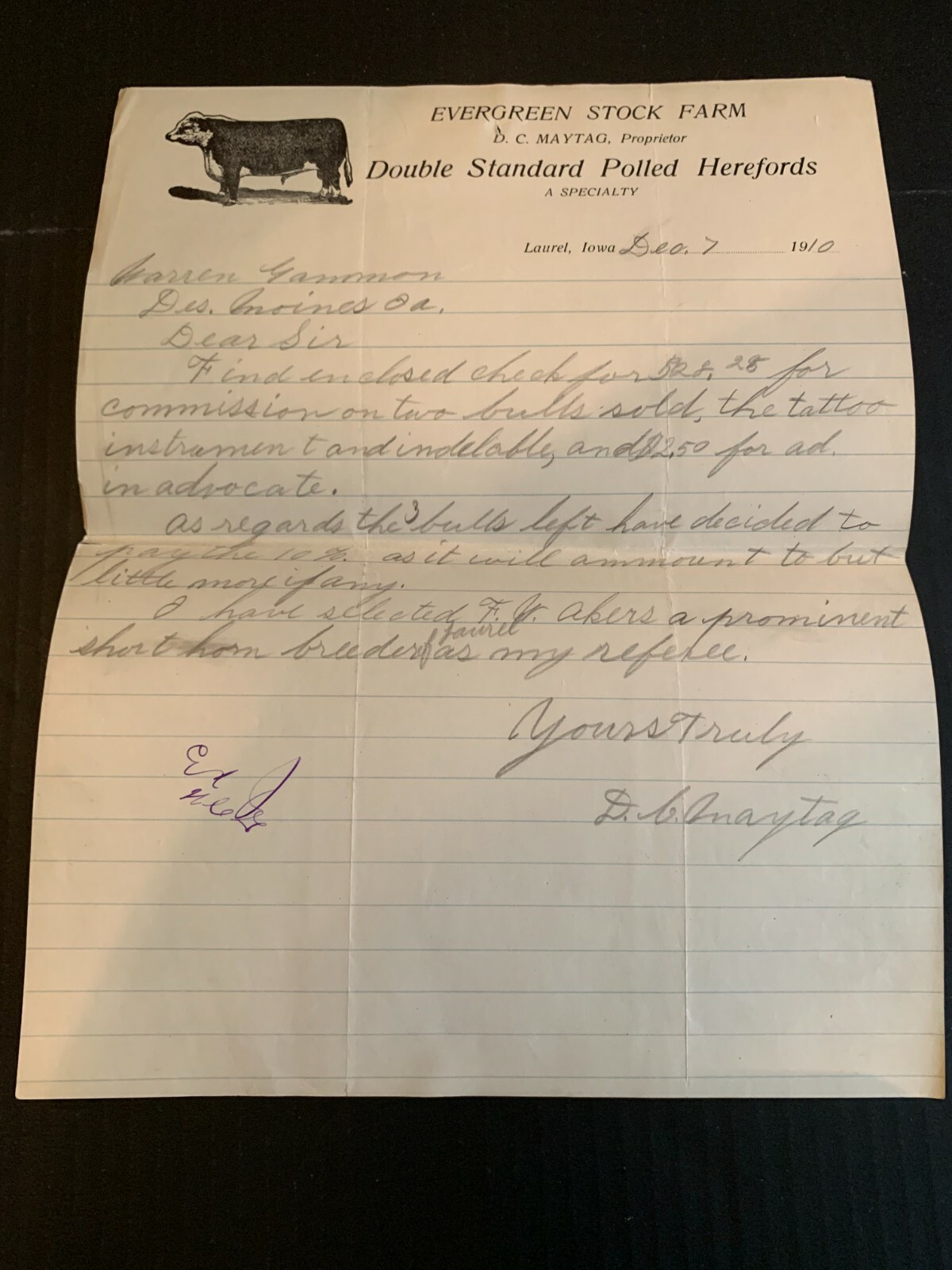 December 07 1910 Evergreen Stock Farms Polled Herefords Letterhead Laurel Iowa