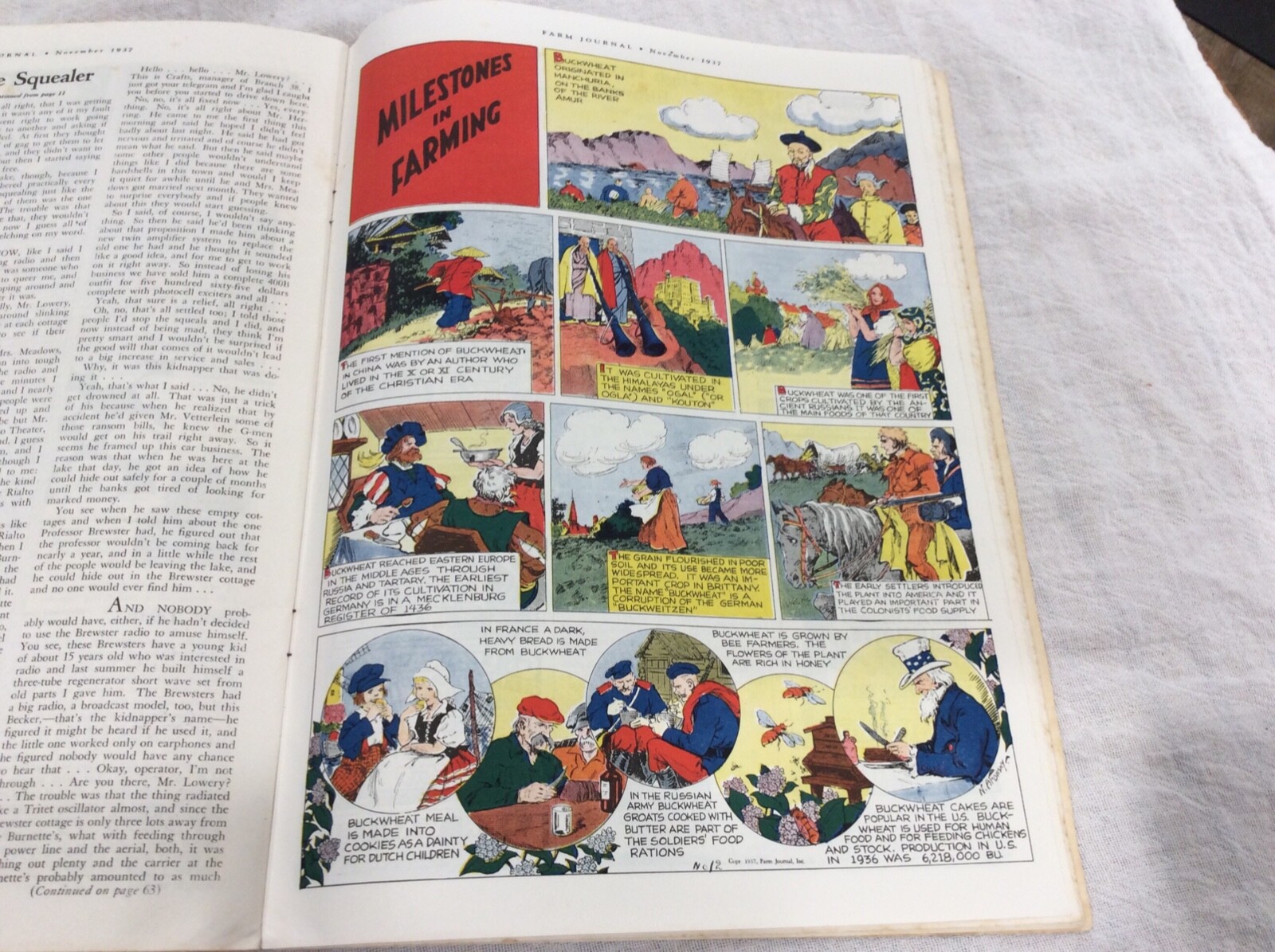 1937 Farm Journal Magazine Iowa State College Experiment Station W/Pigs Ames