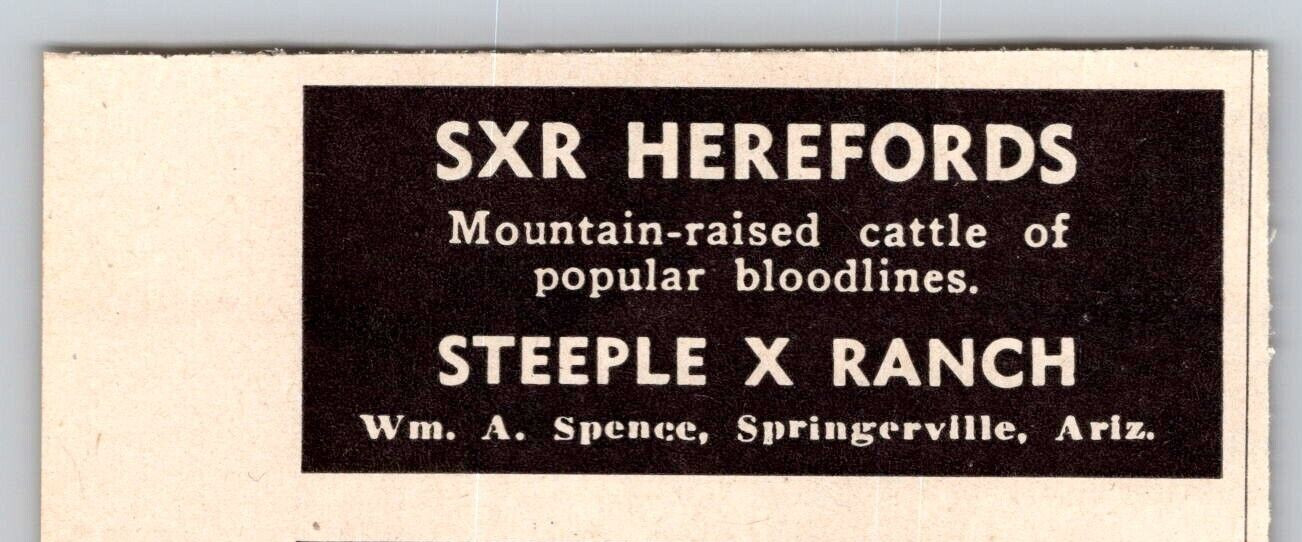 1948 Print Ad SXR Herefords Steeple X Ranch Wm A Spence Springerville AK Cattle