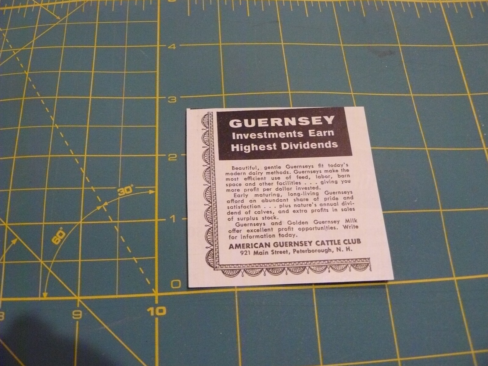 The Farm QRTLY -ADS -SPRING 1959- AM. GUERNSEY CATTLE CLUB / Peterborough, NH