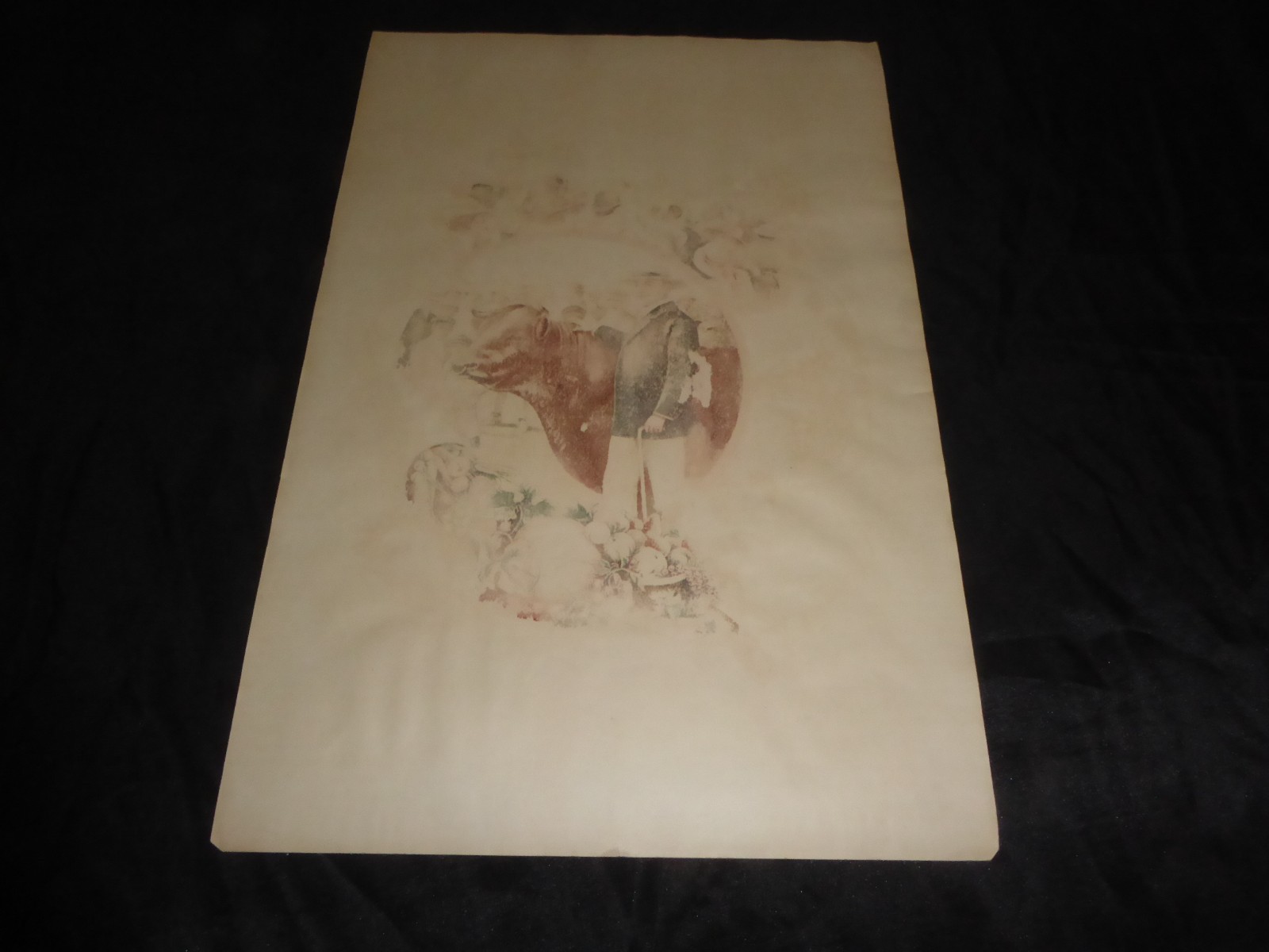 ORIGINAL ANTIQUE 1900 STONE LITHO HAYES STATE FAIR LIVESTOCK HORSE RACING POSTER