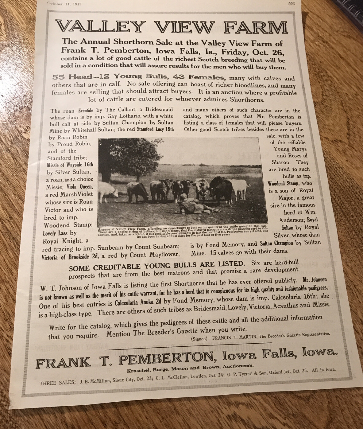 1917 Cattle Livestock Public Sale Poster – Iowa Falls – Iowa – Cow Advertising