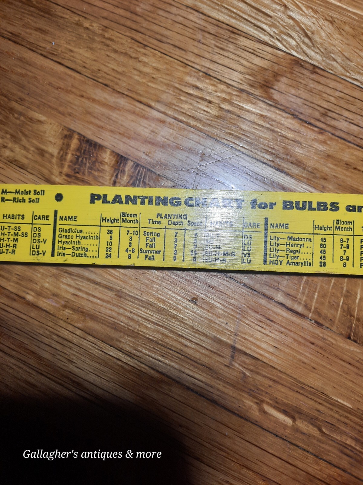 VINTAGE Rare Albemarle NC Stanley Hardware company ADVERTISING RULER Plant
