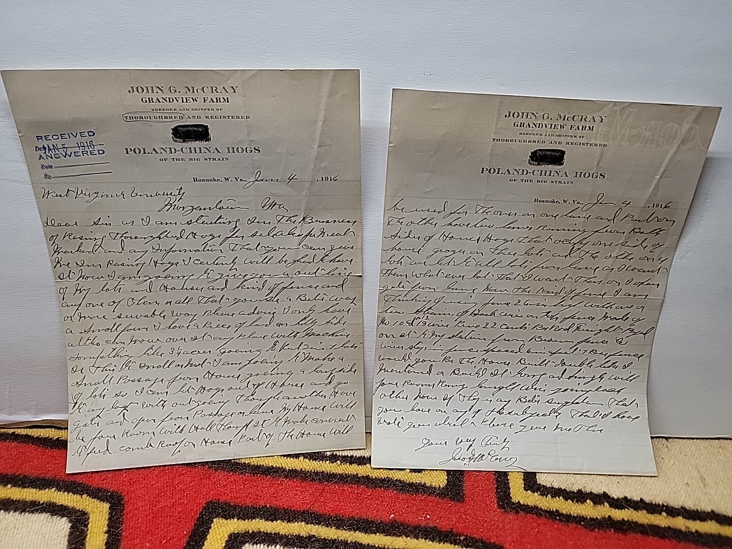 1916 JOHN McCRAY GRANDVIEW FARM POLAND-CHINA HOGS Letterhead / 1123-tf2