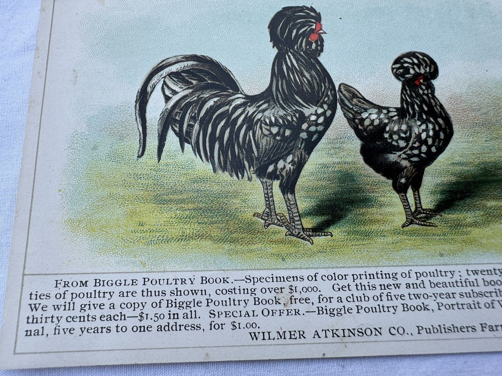 1910&rsquo;s Advertising Paper Biggle Poultry Book Wilmer Atkinson Co Chickens Prints