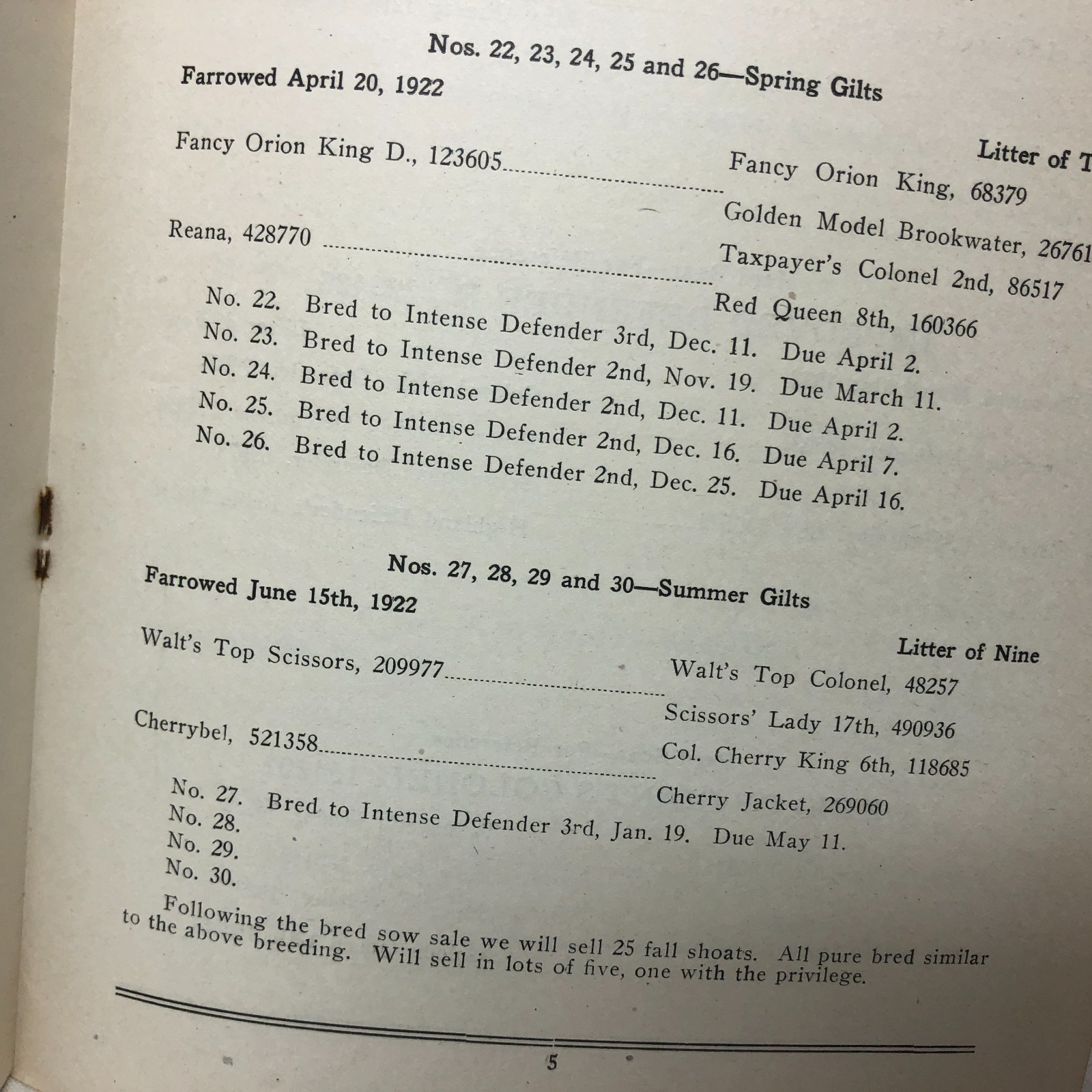Vintage 1923 45-Duroc-45 Bred Sows Sale Booklet