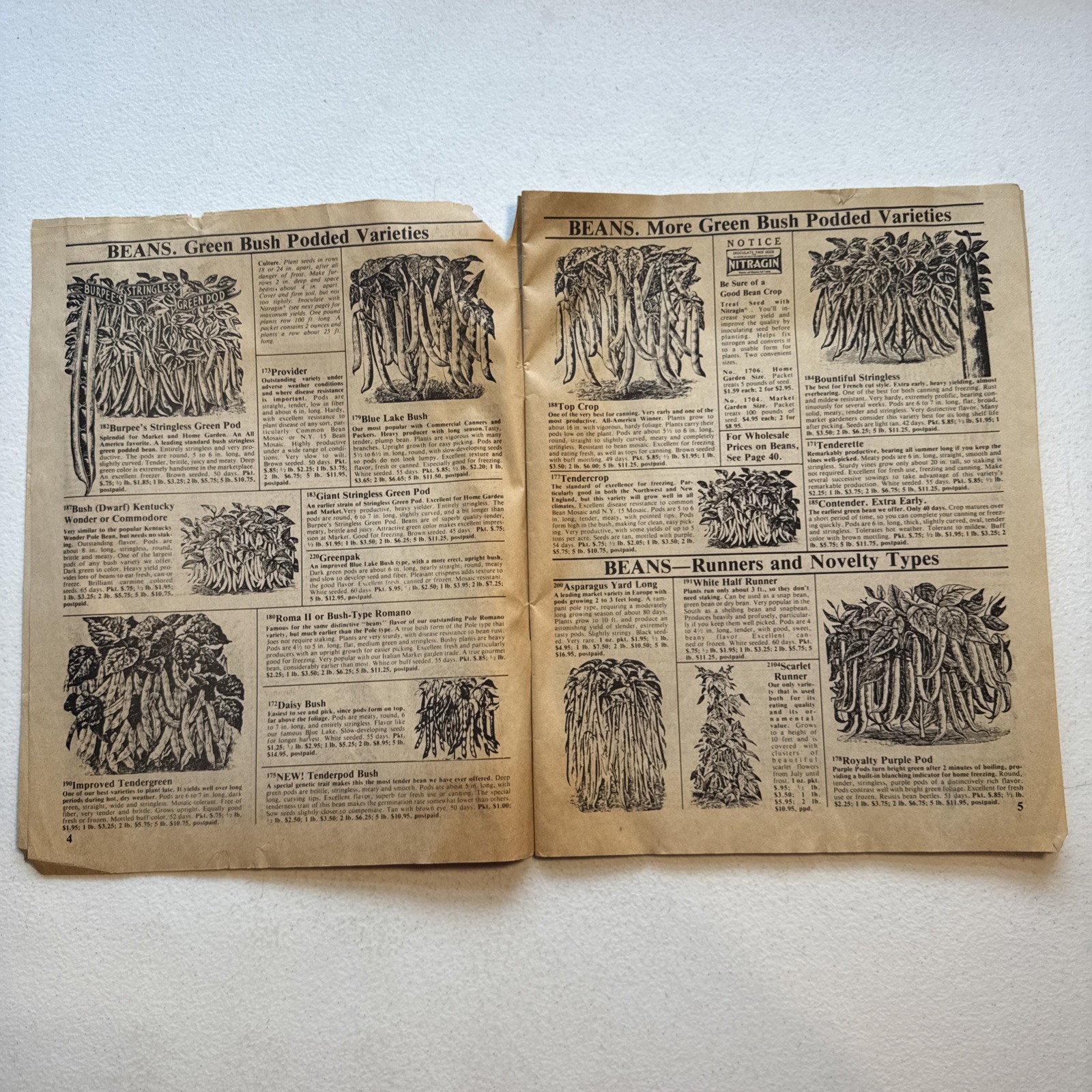 R.H. Shumway’s Seedsman Rockford, Illinois 1988 Garden Catalog Vintage