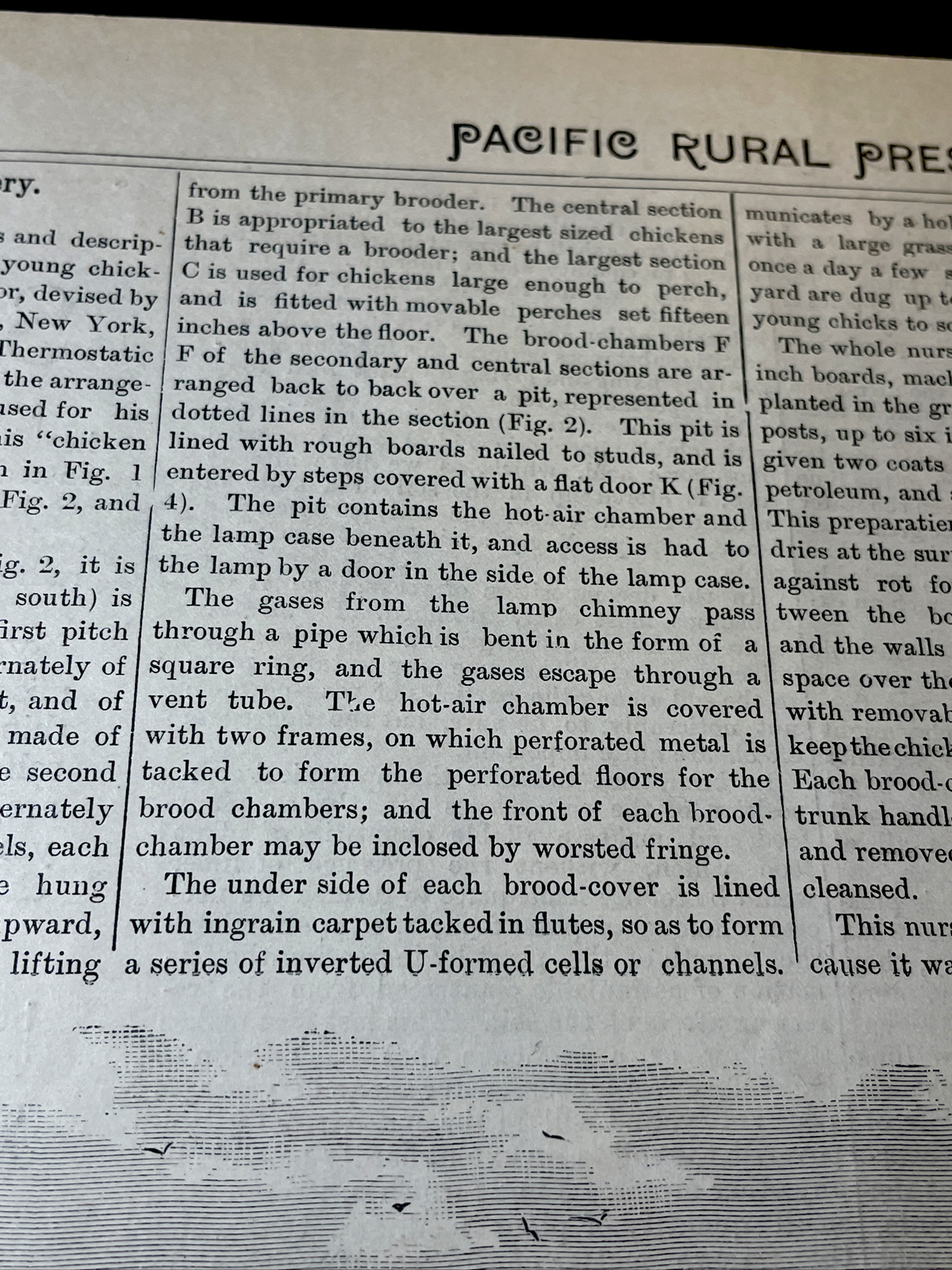 1883 Renwick’s Chicken Nursery Farm Advertising Engraving & Article – 10×15