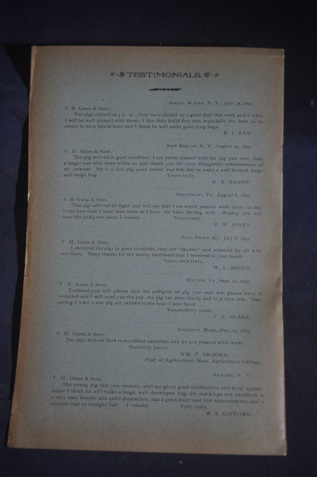 Ca 1896 Gates Homestead Farm Catalog Hogs, Poultry, Ferrets, Chittenango NY