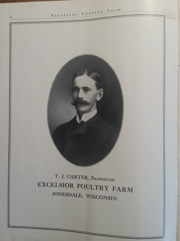 1911 Excelsior Poultry Farm T Carter Jonesdale WI Mineral Point Dodgeville Area