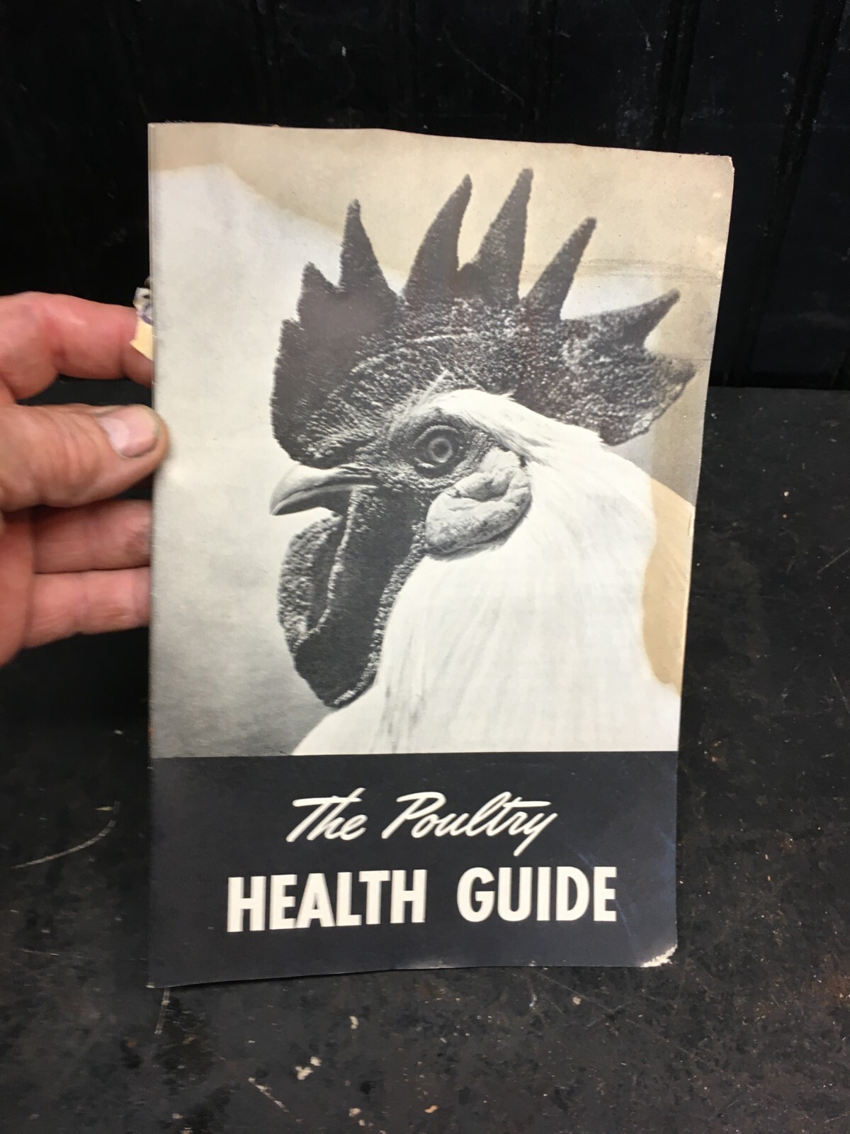 Vintage The Poultry Health Guide pamphlet 1940s Farm Guide Book