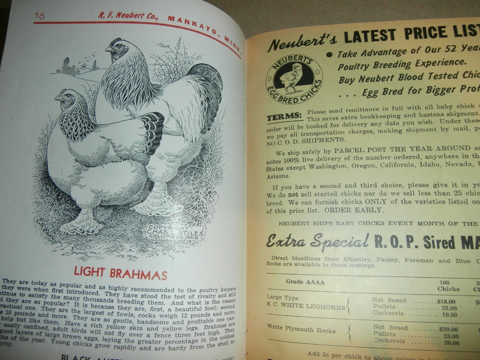 Vintage 1945 Neubert&rsquo;s Neubert Poultry + Supply Catalog Mankato MN