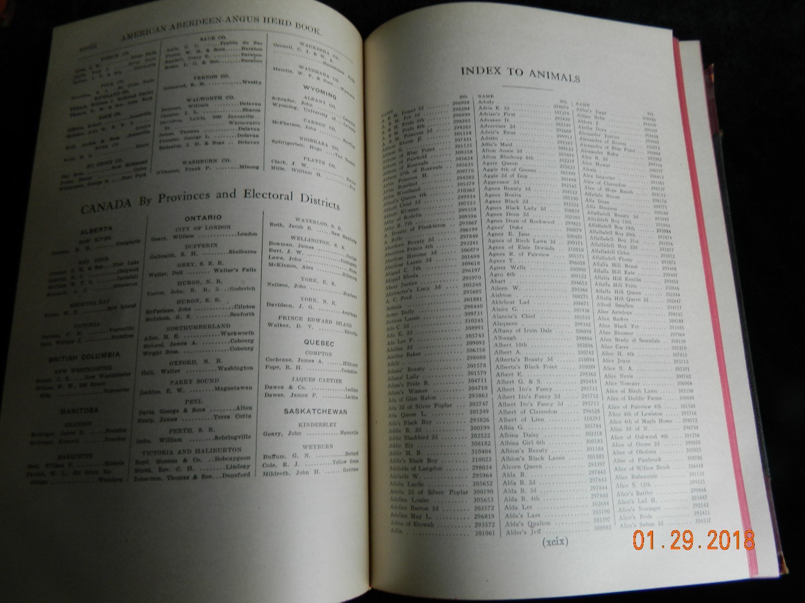 American Aberdeen-Angus Herd Book Vol 31 Original Hardcover RARE VINTAGE 1919
