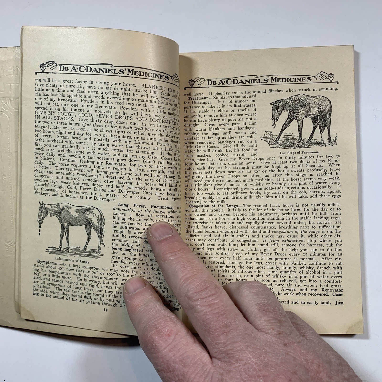 HOME TREATMENT FOR HORSES AND CATTLE by A.C. Daniels – Original 1907 Paperback