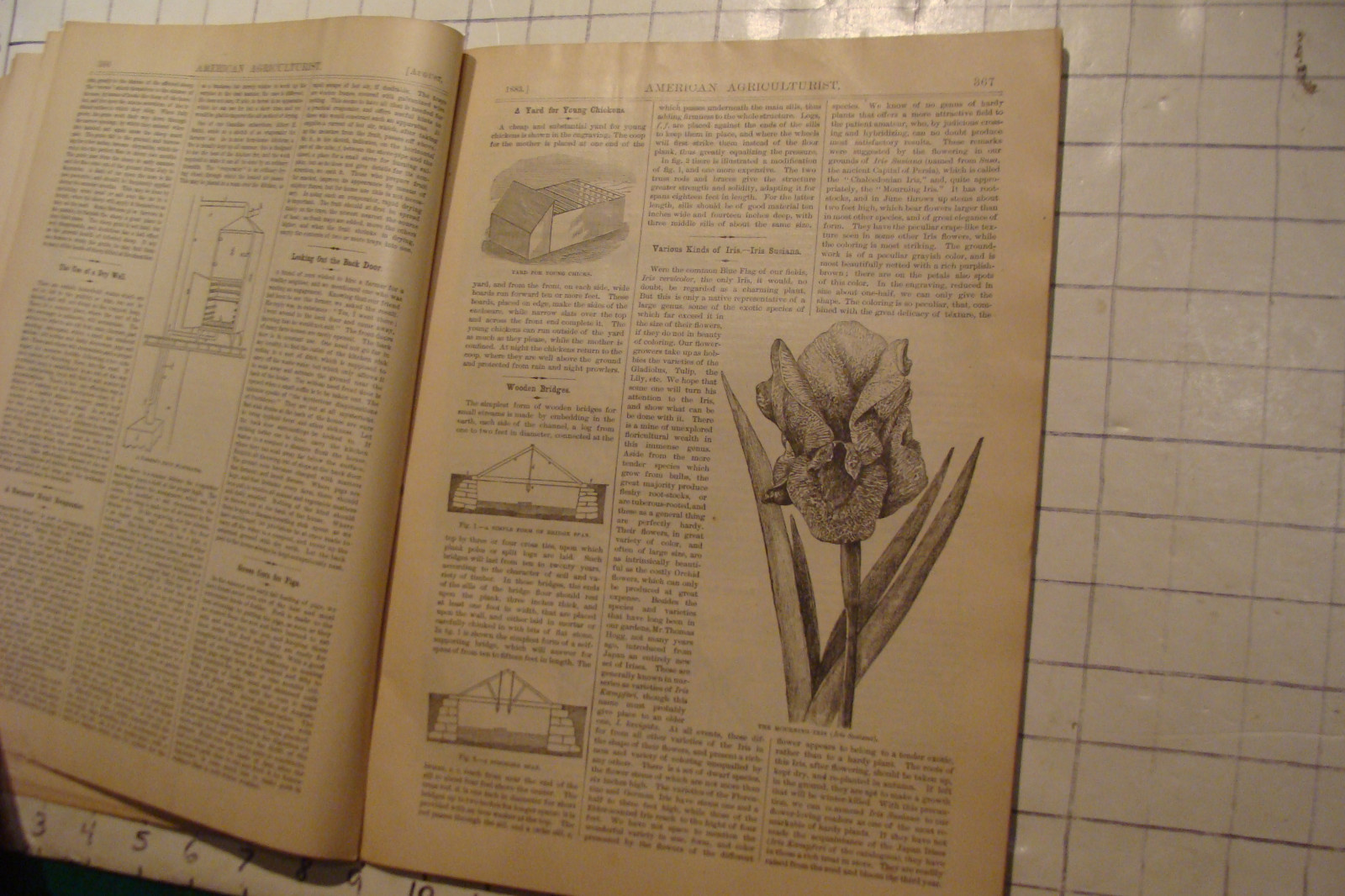 Vintage American Agriculturist 1883 august; great vignettes, horses running