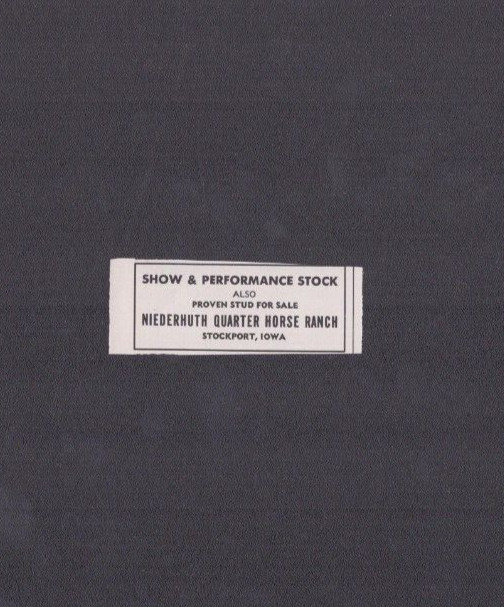 1960 Print Ad Niederhuth Quarter Horse Ranch Stockport Iowa Show & Performance