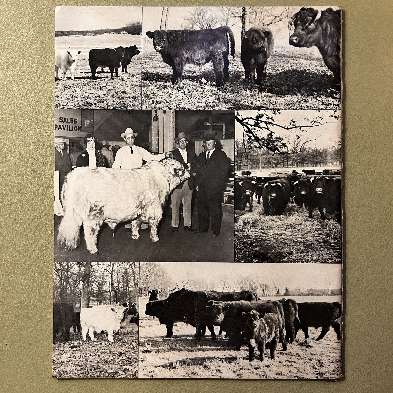 June 1, 1964 Northwood Spring Shorthorn Sale Cary Illinois Magazine
