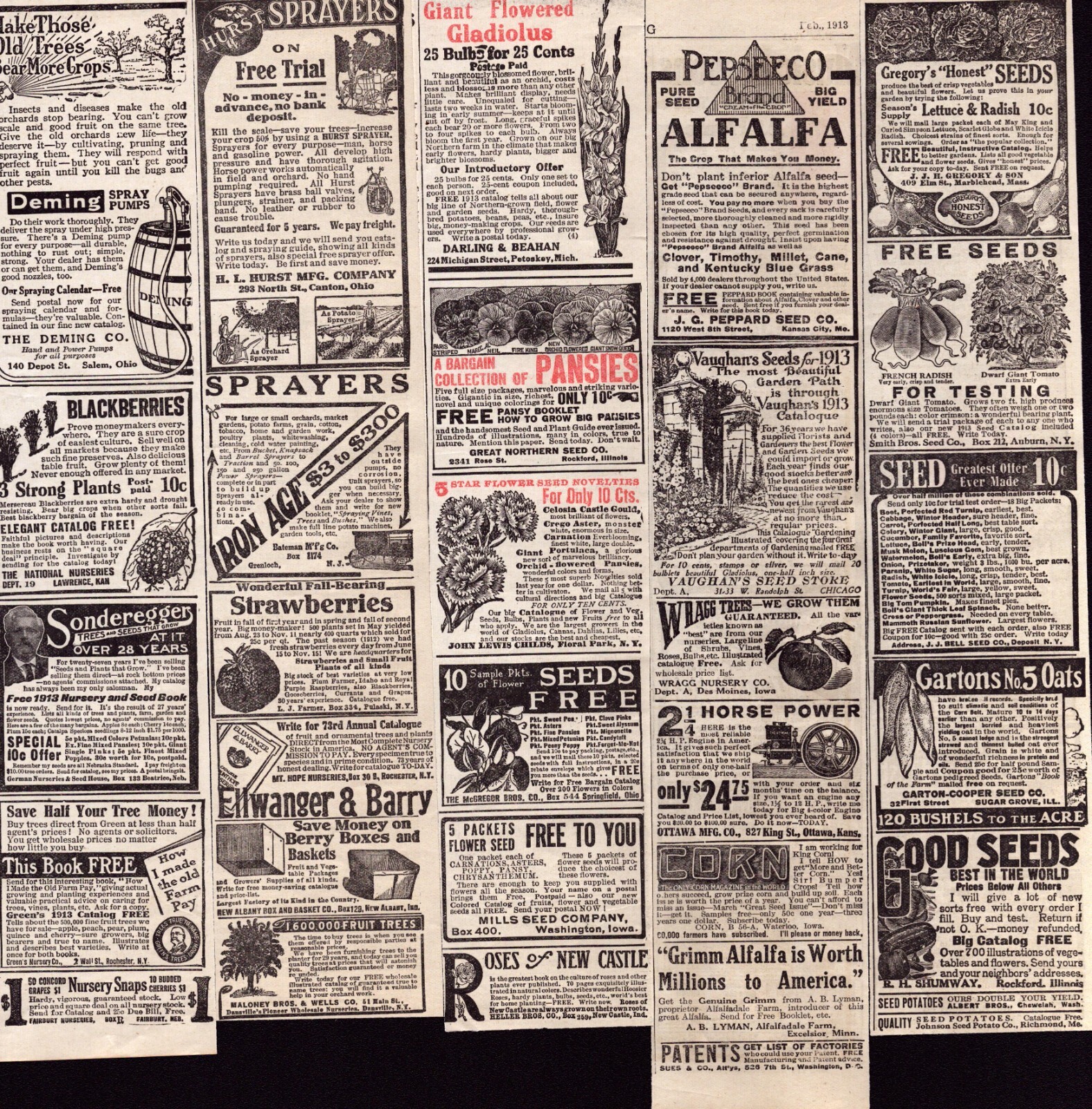 1913 Vintage Print Ads LOT of Approx 20 Misc Sm Seeds Garden Flowers Nursery