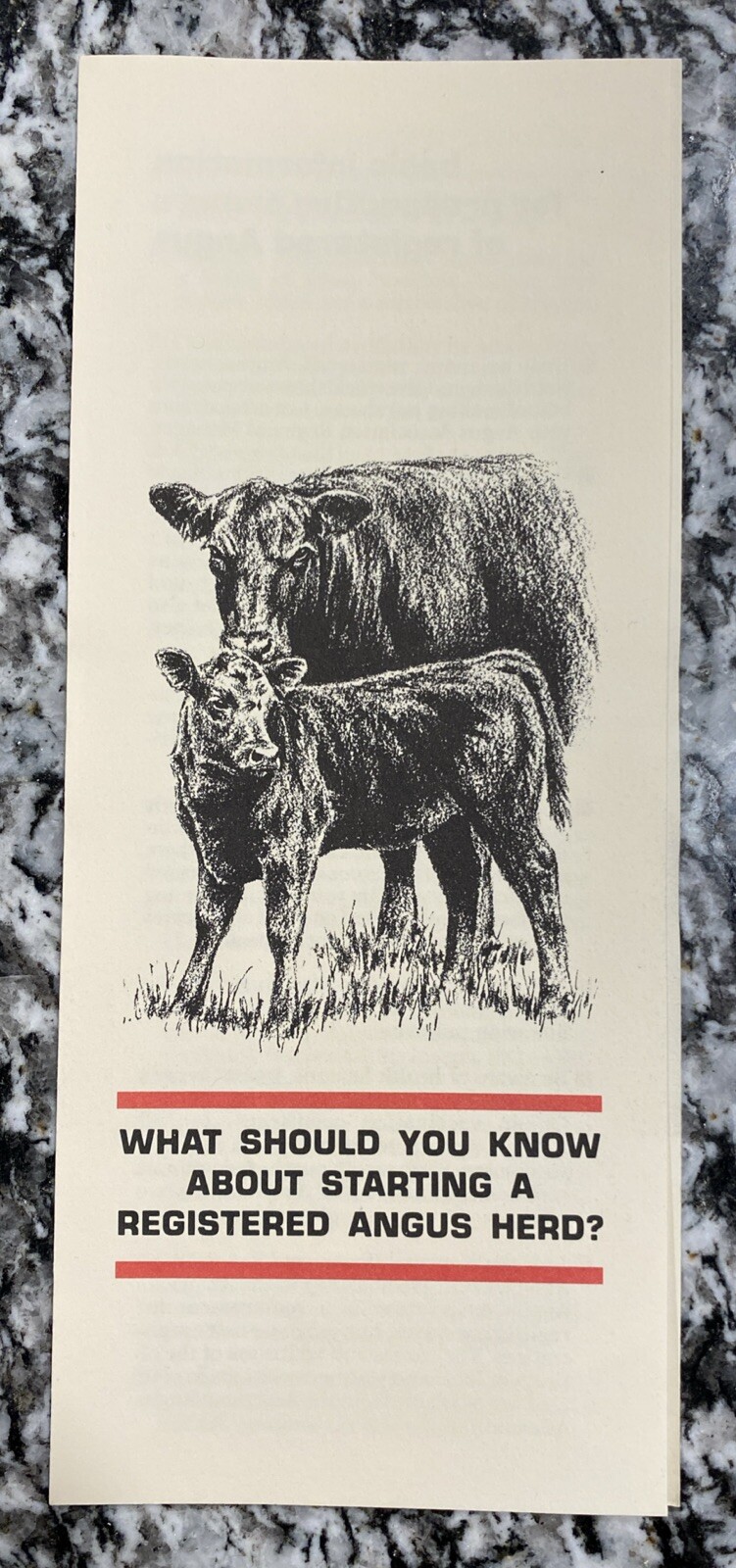 🔴🔵Lot of 4, RARE, Vintage, American Aberdeen Angus Association Pamphlets🔴🔵
