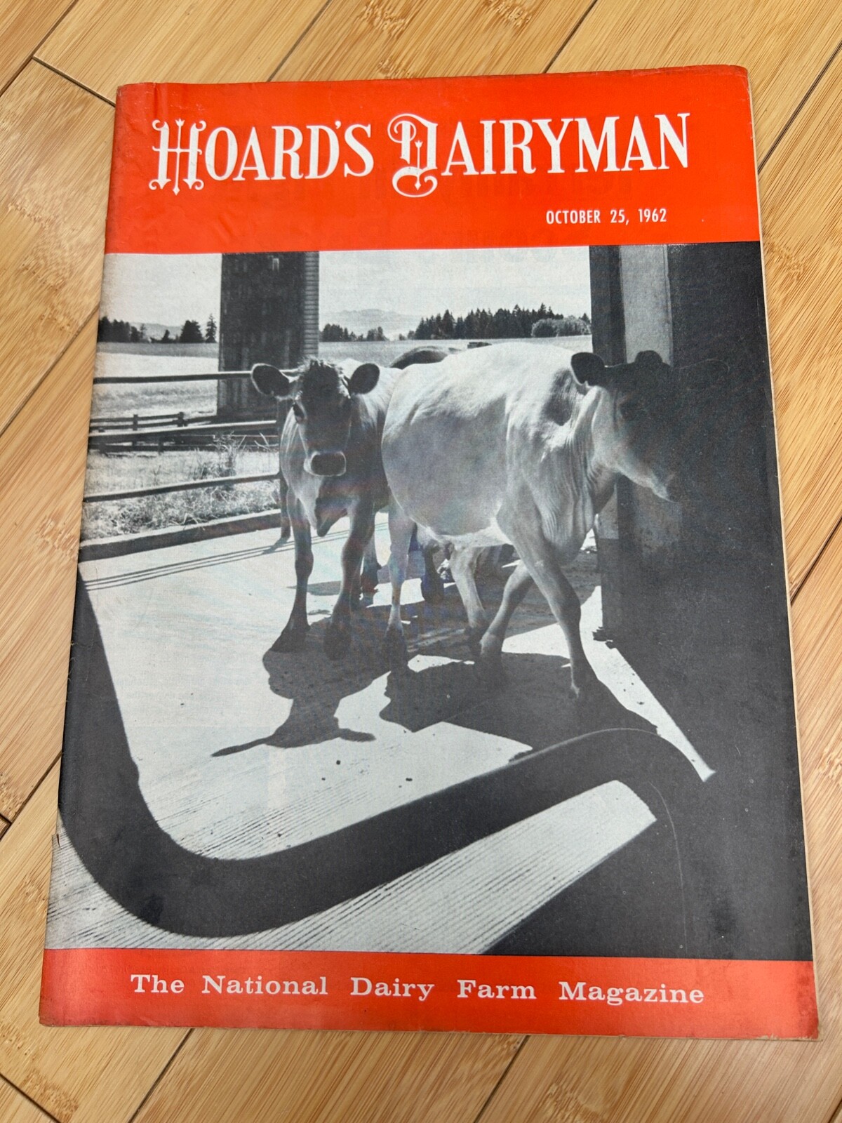 OCT 25 1962 HOARD&rsquo;S DAIRYMAN DAIRY FARM MAGAZINE WARP&rsquo;S ALL-WEATHER PROTECTION