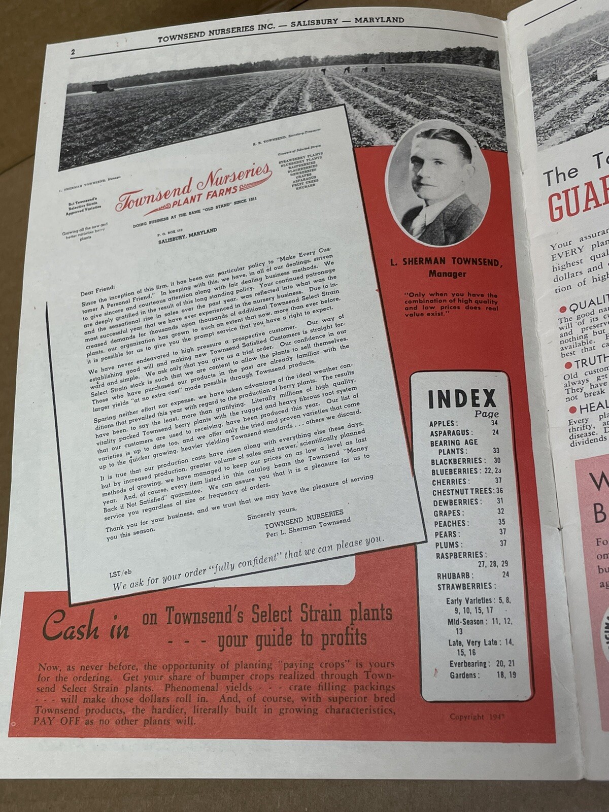 Vtg 1948 1949 Townsend Nurseries Salisbury, Maryland Garden Catalog Lot RARE