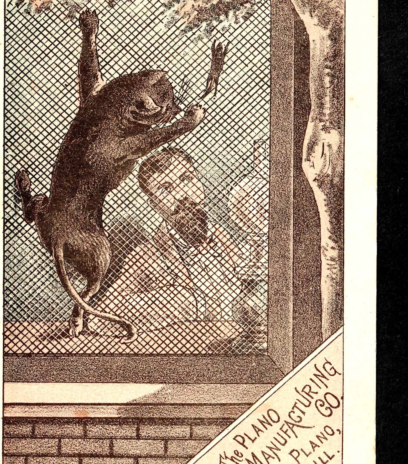 Odd Victorian Humor Cat & Mouse Farm Chase Plano Mfg Protection IL Trade Card LD