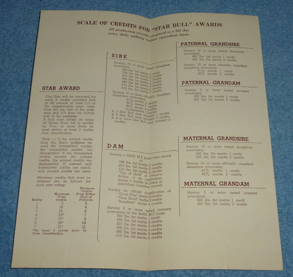 Vintage American Jersey Cattle Club Brochure Jersey Star Bull Award Program