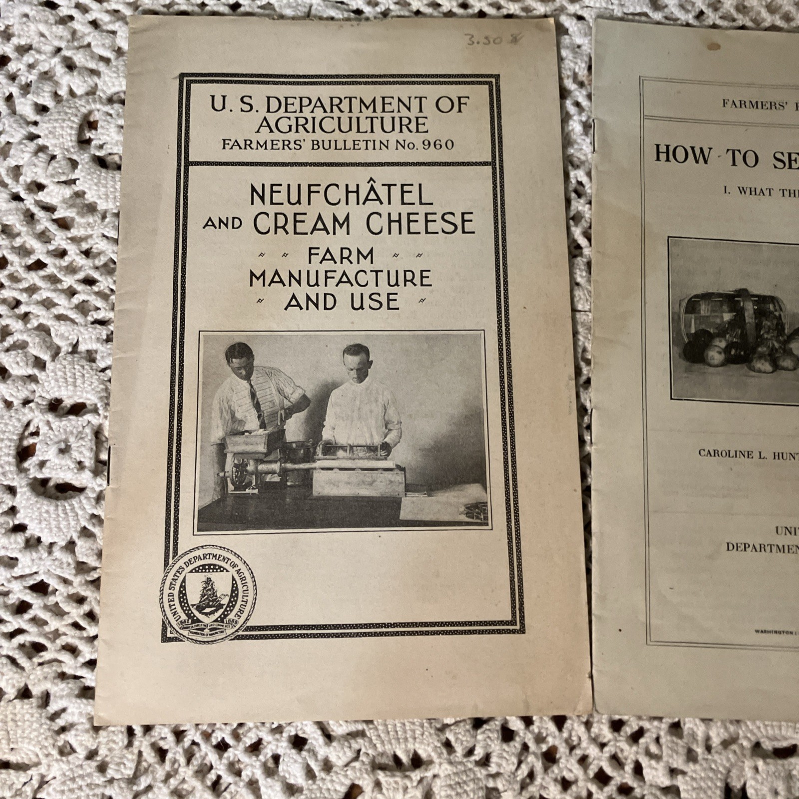Department of Agriculture Antique 1919 & 20&rsquo;s Bulletin&rsquo;s Pamphlet&rsquo;s Lot 6-D
