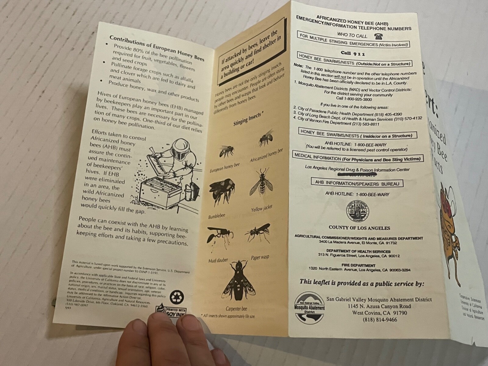 Bee Alert Africanized Honey Bee Facts California Brochure 1993 9×4