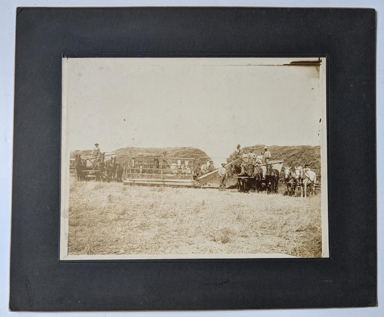 1913 OCCUPATIONAL FARMING OPERATION w HORSE DRAWN IMPLEMENT s, THRESHING MACHINE