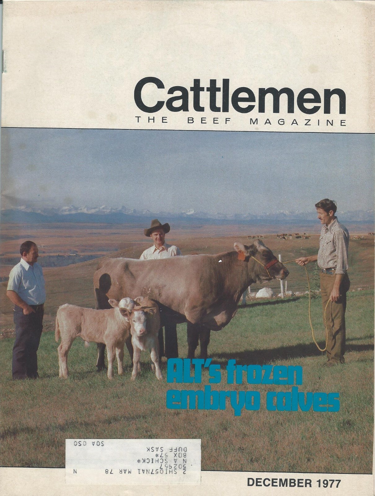 Farm Magazine – Cattlemen – Beef Cattle Rumensin Calf Embryo – 1977 (F4927)