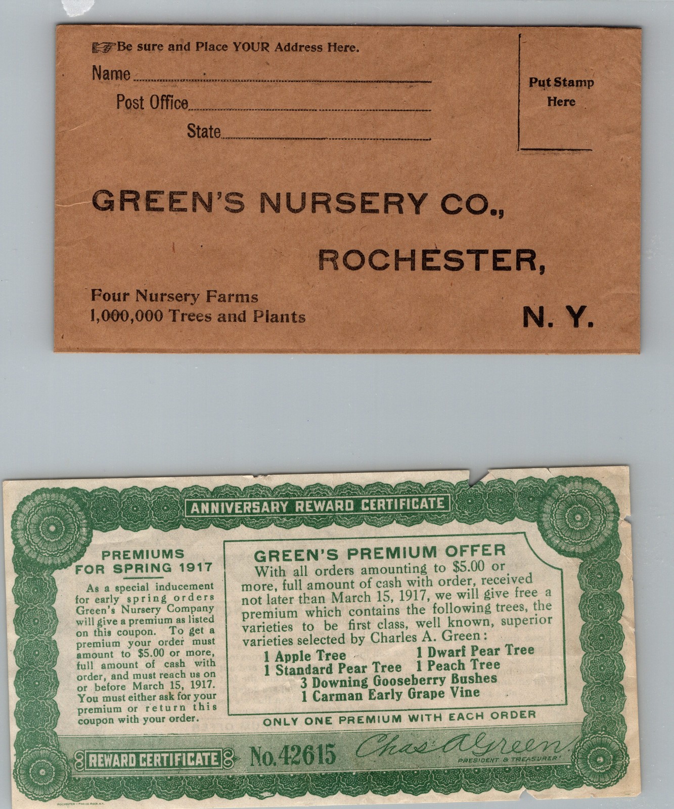 1917 Green&rsquo;s Nursery Co. Rochester New York Reward Coupon Advertisement Mail